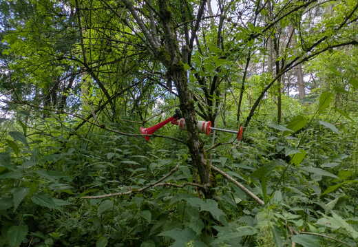 Spieltag Freistadt - 28.6.2025